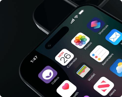 Calico phone Animation